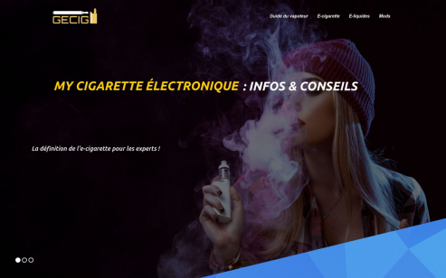 https://www.gecig.fr